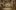 A computer generated image of an indoor wooden theatre